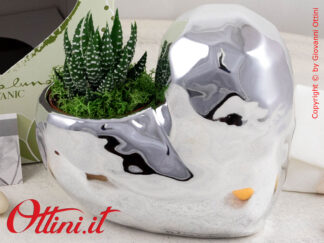25143P Claraluna - Il Vaso Cuore Silver verticale con piantina grassa è una bomboniera ecologica, naturale, simbolo della vita. Bomboniera per Matrimonio