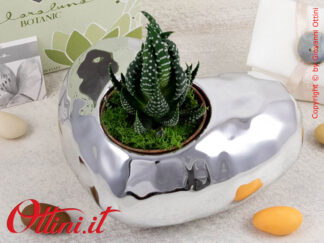 25144P Claraluna - Il Vaso Cuore Silver orizzontale con piantina grassa è una bomboniera ecologica, naturale, simbolo della vita. Bomboniera per Matrimonio