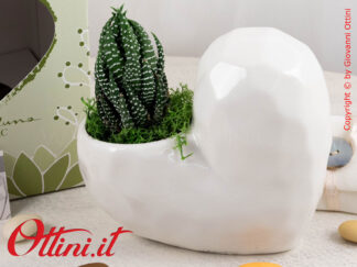 25145P Claraluna - Il Vaso Cuore Bianco verticale con piantina grassa è una bomboniera ecologica, naturale, simbolo della vita. Bomboniera per Matrimonio