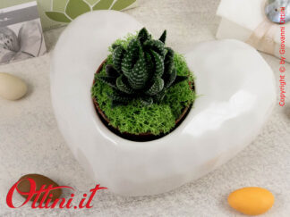 25146P Claraluna - Il Vaso Cuore Bianco orizzontale con piantina grassa è una bomboniera ecologica, naturale, simbolo della vita. Bomboniera per Matrimonio