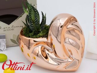 26134 Claraluna - Vaso in porcellana a forma di Cuore nel colore Oro Rosa con Piantina grassa Haworthia, una bomboniera green per tutte le occasioni