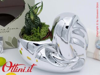 26135 Claraluna - Vaso in porcellana a forma di Cuore nel colore Silver con Piantina grassa Haworthia, una bomboniera green per tutte le occasioni