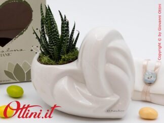 26136 Claraluna - Vaso in porcellana a forma di Cuore nel colore Bianco con Piantina grassa Haworthia, una bomboniera green per tutte le occasioni