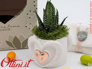 26284 Claraluna - Vasetto in gesso con Cuore Oro Rosa e Piantina grassa Haworthia, una bomboniera green di natura e vita per tutte le occasioni