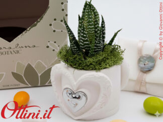 26285 Claraluna - Vasetto in gesso con Cuore Silver e Piantina grassa Haworthia, una bomboniera green di natura e vita per tutte le occasioni