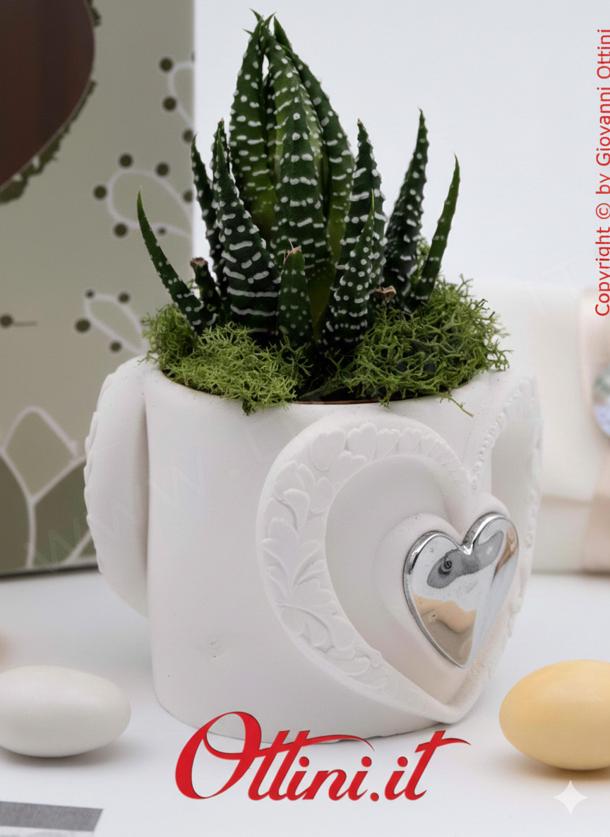 26285 Claraluna - Vasetto in gesso con Cuore Silver e Piantina grassa Haworthia, una bomboniera green di natura e vita per tutte le occasioni