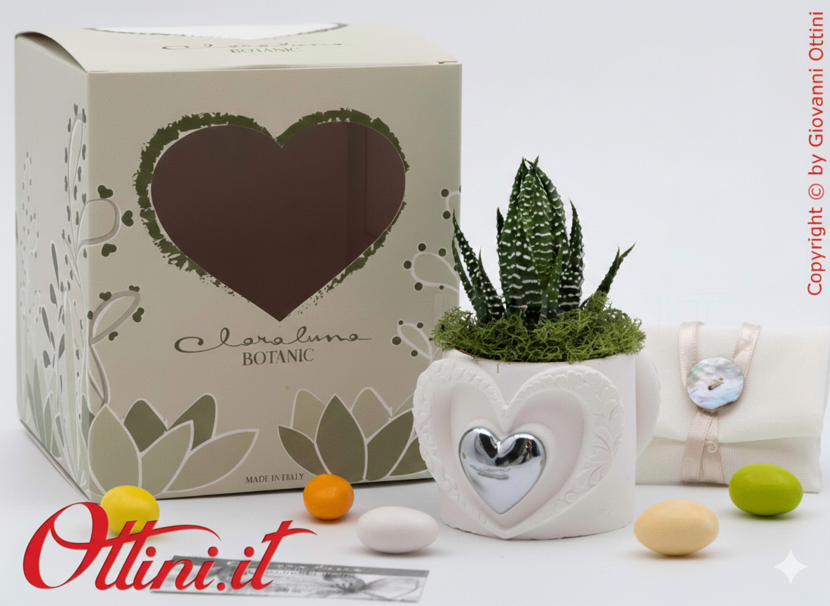 26285 Claraluna - Vasetto in gesso con Cuore Silver e Piantina grassa Haworthia, una bomboniera green di natura e vita per tutte le occasioni