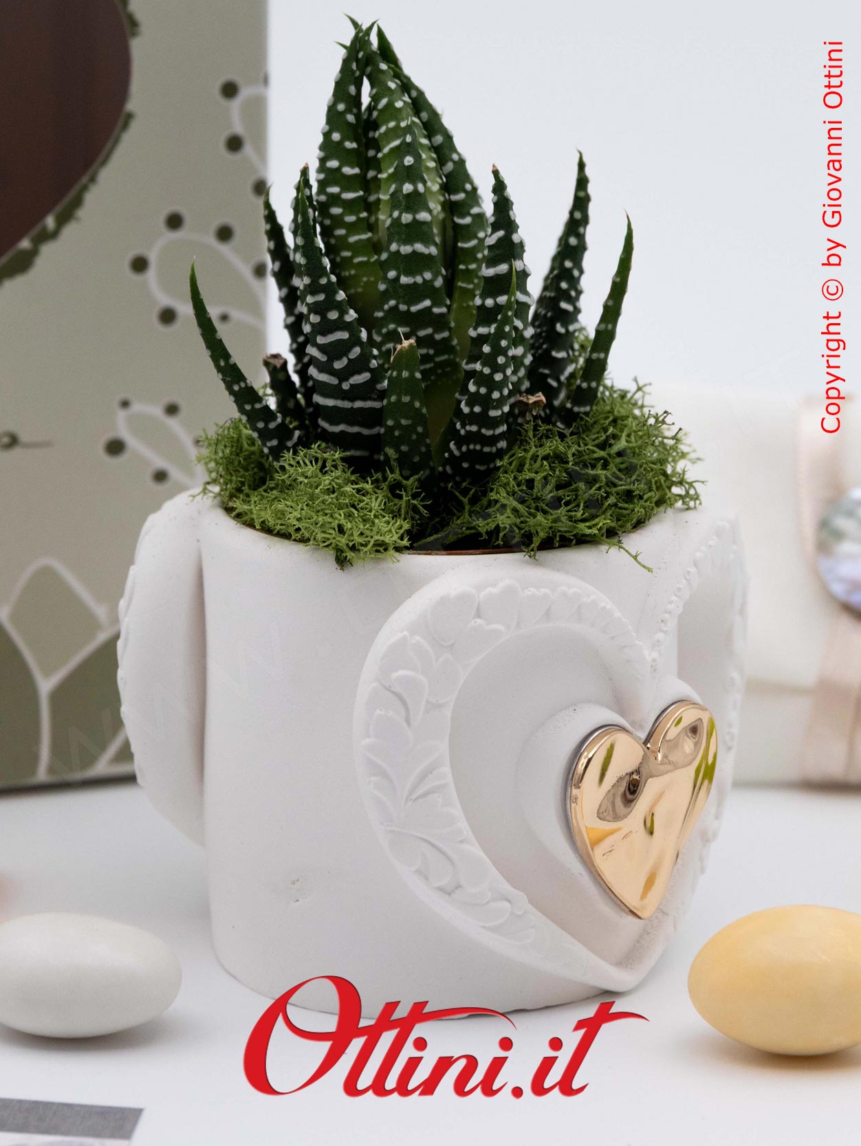 26286 Claraluna - Vasetto in gesso con Cuore Oro e Piantina grassa Haworthia, una bomboniera green di natura e vita per tutte le occasioni