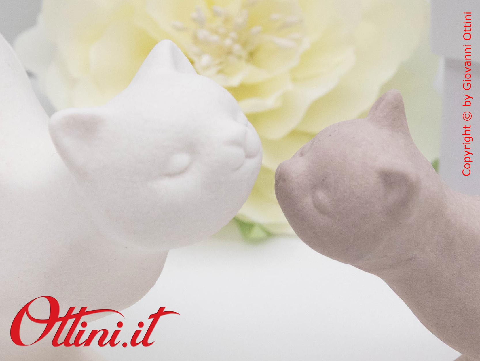 D9133 - La Coppia Gattini Porta Anelli di Cuorematto è una bomboniera utile, solidale e giovane che sostiene i Frati dell'Antoniano di Bologna.