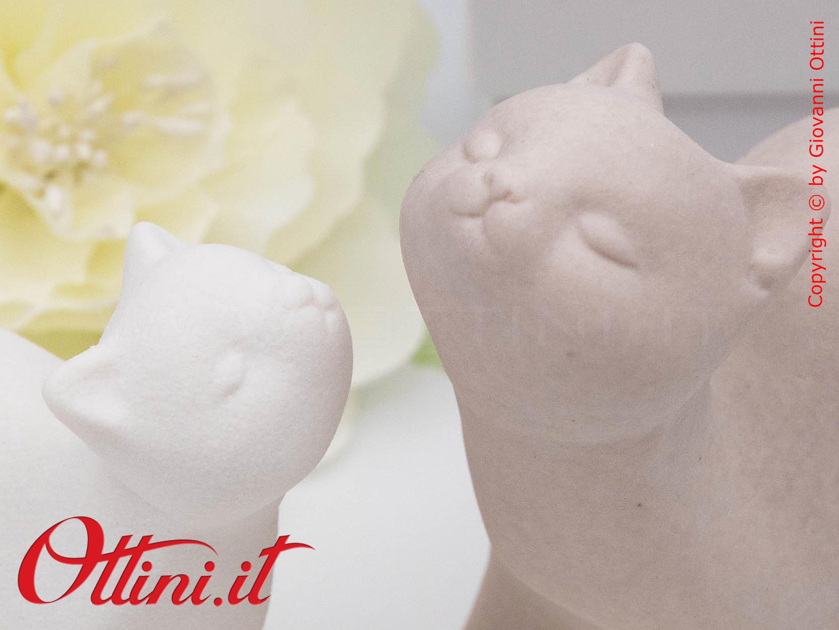 D9133 - La Coppia Gattini Porta Anelli di Cuorematto è una bomboniera utile, solidale e giovane che sostiene i Frati dell'Antoniano di Bologna.