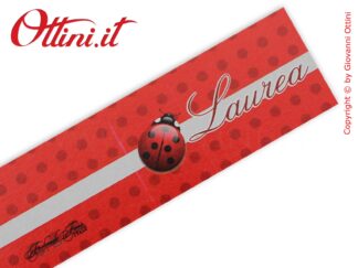 Bigliettino bomboniera per laurea con coccinella portafortuna, E' un prodotto semplice ed elegante che e può essere stampato su i due lati interni